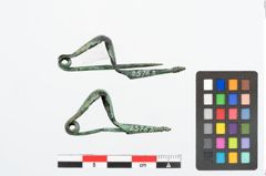 Foto von Bronzepaukenfibel (NHMW-PRAE-025762)